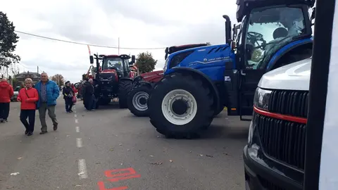 Mansilla de las Mulas revive su tradición con la Feria de San Martín. La histórica cita agroganadera reúne a miles de visitantes, cerca de 40 expositores y las VI Jornadas del Bacalao, consolidándose como el gran referente ferial de la provincia leonesa.