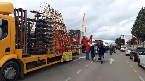 Mansilla de las Mulas revive su tradición con la Feria de San Martín. La histórica cita agroganadera reúne a miles de visitantes, cerca de 40 expositores y las VI Jornadas del Bacalao, consolidándose como el gran referente ferial de la provincia leonesa.