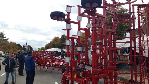 Mansilla de las Mulas revive su tradición con la Feria de San Martín. La histórica cita agroganadera reúne a miles de visitantes, cerca de 40 expositores y las VI Jornadas del Bacalao, consolidándose como el gran referente ferial de la provincia leonesa.