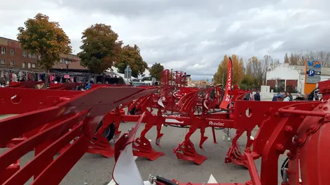 Mansilla de las Mulas revive su tradición con la Feria de San Martín. La histórica cita agroganadera reúne a miles de visitantes, cerca de 40 expositores y las VI Jornadas del Bacalao, consolidándose como el gran referente ferial de la provincia leonesa.