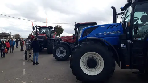 Mansilla de las Mulas revive su tradición con la Feria de San Martín. La histórica cita agroganadera reúne a miles de visitantes, cerca de 40 expositores y las VI Jornadas del Bacalao, consolidándose como el gran referente ferial de la provincia leonesa.