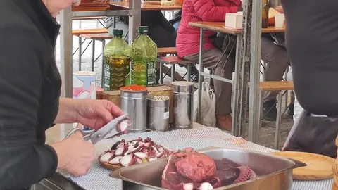 Mansilla de las Mulas revive su tradición con la Feria de San Martín. La histórica cita agroganadera reúne a miles de visitantes, cerca de 40 expositores y las VI Jornadas del Bacalao, consolidándose como el gran referente ferial de la provincia leonesa.