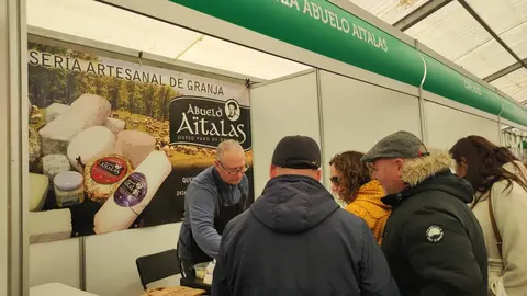 Mansilla de las Mulas revive su tradición con la Feria de San Martín. La histórica cita agroganadera reúne a miles de visitantes, cerca de 40 expositores y las VI Jornadas del Bacalao, consolidándose como el gran referente ferial de la provincia leonesa.