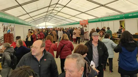 Mansilla de las Mulas revive su tradición con la Feria de San Martín. La histórica cita agroganadera reúne a miles de visitantes, cerca de 40 expositores y las VI Jornadas del Bacalao, consolidándose como el gran referente ferial de la provincia leonesa.