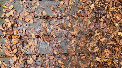 El Faedo de Ciñera, la ruta en pleno corazón de la montaña leonesa que parece sacada de un cuento. Foto: Silvia García.