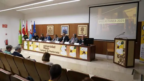 (I a D): El concejal de Medio Ambiente y Desarrollo Rural del Ayuntamiento de Carracedelo (León), Daniel Franco; la coordinadora de la Junta de Castilla y León en El Bierzo, Rosana Velasco; el presidente del Consejo Comarcal del Bierzo, Olegario Ramón; la vicerrectora del Campus del Bierzo de la ULE, Pilar Marqués; el alcalde de Corullón, Luis Alberto Arias, el Concejal de Medioambiente, Transporte y Movilidad del Ayuntamiento de Ponferrada, Carlos Fernández; y el gerente de la Mesa del Castaño, Pablo Linares, durante la inauguración de Biocastanea 2025. Foto: César Sánchez