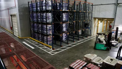 La consejera de Agricultura, Ganadería y Desarrollo Rural, María González Corral, visita las instalaciones de Legumbres Luengo. Foto: Campillo.