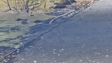 La crecida del río Bernesga a su paso por la capital leonesa llevó este viernes al Ayuntamiento de León a cerrar las pasarelas peatonales que comunican ambos márgenes del cauce. Fotos: Carlos Calvo | Silvia García