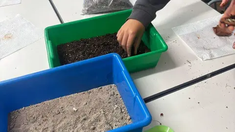 Los alumnos del CEIP Emilia Menéndez impulsan un proyecto de reforestación escolar con 'bombas de semillas'.