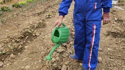 Voluntarios trabajando en el huerto de Presta Ayuda.