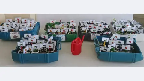 El semillero escolar de los alumnos del CEIP Teodoro Martínez Gadañón.