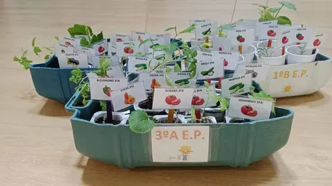 El semillero escolar de los alumnos del CEIP Teodoro Martínez Gadañón.