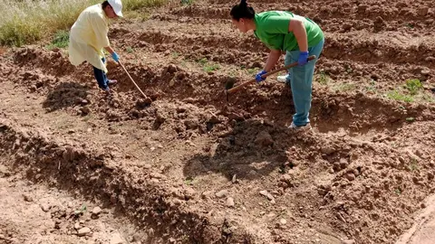 Voluntarios trabajando en el huerto de Presta Ayuda.