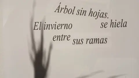 'Instantes de Cristal': haikus y poesía visual de Gustavo Vega en León. El poeta leonés presenta en la galería IA del colegio marista San José una muestra de 14 obras en las que explora la “poesía pura” a través del haiku y la imagen.