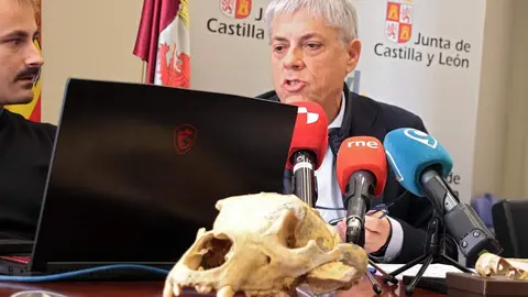 El delegado territorial de la Junta, Eduardo Diego. el coordinador del proyecto y paleobiólogo Darío Fidalgo, la profesora de Paleontología de la Universidad de León, Esperanza Fernández, y el profesor de Prehistoria de la ULE, Carlos Fernández presentan los resultados provisionales de la primera campaña de recuperación de restos de fauna del Cuaternario en cuevas de la provincia de León. Foto: Peio García.
