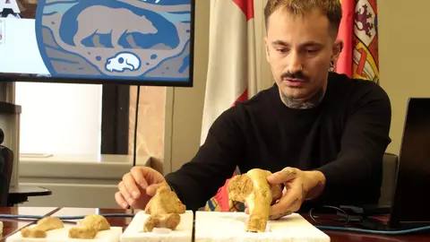 El delegado territorial de la Junta, Eduardo Diego. el coordinador del proyecto y paleobiólogo Darío Fidalgo, la profesora de Paleontología de la Universidad de León, Esperanza Fernández, y el profesor de Prehistoria de la ULE, Carlos Fernández presentan los resultados provisionales de la primera campaña de recuperación de restos de fauna del Cuaternario en cuevas de la provincia de León. Foto: Peio García.