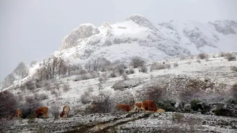 La primera nevada de la temporada llega a las cumbres de la vertiente leonesa de la Cornisa Cantábrica. Foto: Peio García
