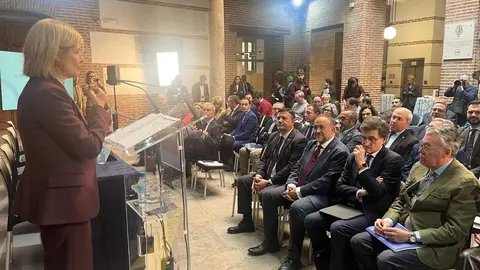 Gerardo Álvarez Courel, presidente de la Diputación de León, intervino este jueves en la Jornada sobre el futuro de las Diputaciones Provinciales, organizada por la Federación Española de Municipios y Provincias (FEMP) con motivo de su 45º aniversario.