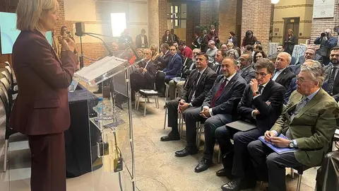 Gerardo Álvarez Courel, presidente de la Diputación de León, intervino este jueves en la Jornada sobre el futuro de las Diputaciones Provinciales, organizada por la Federación Española de Municipios y Provincias (FEMP) con motivo de su 45º aniversario.