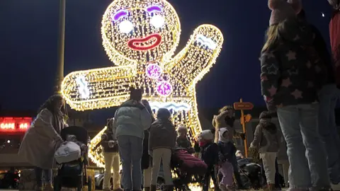 La localidad leonesa de Almanza inauguró este sábado su espectacular iluminación navideña.