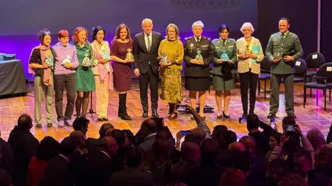 El delegado del Gobierno en Castilla y León, Nicanor Sen, preside el acto de entrega de los Reconocimientos Meninas 2025.