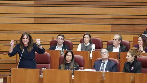 Primera jornada del pleno en las Cortes de Castilla y León. Fotos: Rubén Cacho