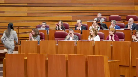 Segunda jornada del Pleno de las Cortes de Castilla y León. Fotos: Leticia Pérez