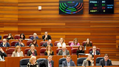 Segunda jornada del Pleno de las Cortes de Castilla y León. Fotos: Leticia Pérez