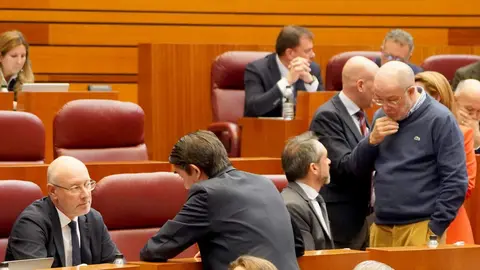 Segunda jornada del Pleno de las Cortes de Castilla y León. Fotos: Leticia Pérez