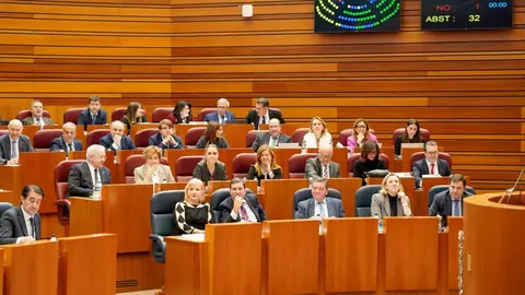 Segunda jornada del Pleno de las Cortes de Castilla y León. Fotos: Leticia Pérez