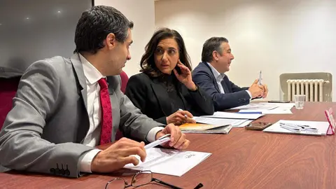 El Consejo General de Unión del Pueblo Leonés se reunió este miércoles y designó a Alicia Gallego como cabeza de lista para las elecciones autonómicas del próximo año.