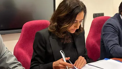 El Consejo General de Unión del Pueblo Leonés se reunió este miércoles y designó a Alicia Gallego como cabeza de lista para las elecciones autonómicas del próximo año.