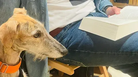 Lectores de todas las edades se sumergen en el silencio en la librería Literatessen durante la primera 'Silent Reading Party' celebrada en León.