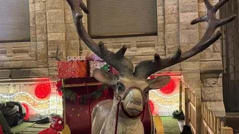 El tradicional mercadillo, abierto desde el pasado viernes, se convierte un año más en el corazón festivo de la ciudad, donde miles de personas buscan refugio, tradición y magia a los pies de la Catedral. Fotos: S. García
