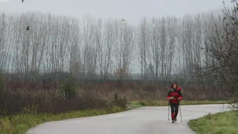 Peregrinos a su paso por la comarca del Bierzo. Foto: César Sánchez.