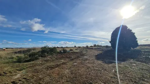 La maquinaria pesada arranca las obras de ampliación del Parque Tecnológico de León en medio del conflicto por las expropiaciones. Los movimientos de tierras ya abren el gran vial central y dos de las rotondas que ordenarán el futuro recinto, mientras propietarios mantienen su ofensiva judicial por los precios “inaceptables” de los terrenos. Fotos: Heraldo de León
