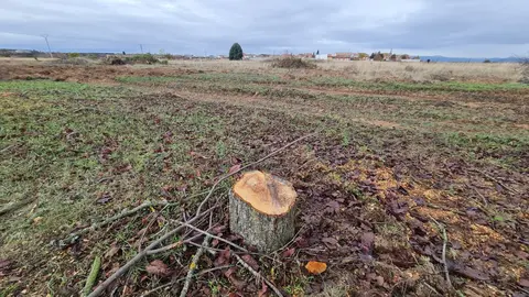 La maquinaria pesada arranca las obras de ampliación del Parque Tecnológico de León en medio del conflicto por las expropiaciones. Los movimientos de tierras ya abren el gran vial central y dos de las rotondas que ordenarán el futuro recinto, mientras propietarios mantienen su ofensiva judicial por los precios “inaceptables” de los terrenos. Fotos: Heraldo de León