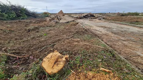 La maquinaria pesada arranca las obras de ampliación del Parque Tecnológico de León en medio del conflicto por las expropiaciones. Los movimientos de tierras ya abren el gran vial central y dos de las rotondas que ordenarán el futuro recinto, mientras propietarios mantienen su ofensiva judicial por los precios “inaceptables” de los terrenos. Fotos: Heraldo de León