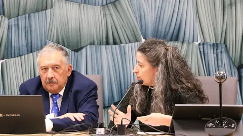 El geógrafo Redondo Vega sostiene en una conferencia que la restauración del paisaje minero es “imposible” y pide que se deje actuar a la naturaleza. Foto: ULE