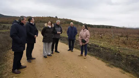 La consejera de Agricultura, Ganadería y Desarrollo Rural, María González Corral, durante su visita a las obras de la infraestructura rural de la concentración parcelaria de Castropodame (León). Foto: César Sánchez.