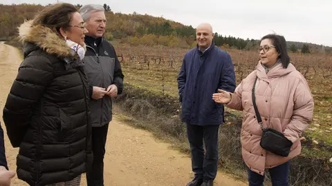 La consejera de Agricultura, Ganadería y Desarrollo Rural, María González Corral, durante su visita a las obras de la infraestructura rural de la concentración parcelaria de Castropodame (León). Foto: César Sánchez.