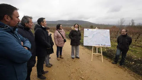 La consejera de Agricultura, Ganadería y Desarrollo Rural, María González Corral, durante su visita a las obras de la infraestructura rural de la concentración parcelaria de Castropodame (León). Foto: César Sánchez.