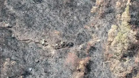 La Confederación Hidrográfica Miño-Sil (CHMS) avanza en los trabajos para paliar los efectos de los incendios de este verano en los diferentes ríos de la comarca del Bierzo, donde se está dando prioridad a los cauces fluviales estratégicos, próximos a captaciones, mediante técnicas de bioingeniería que ayudan a reducir los arrastres.