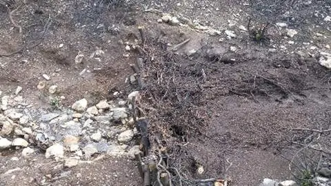 La Confederación Hidrográfica Miño-Sil (CHMS) avanza en los trabajos para paliar los efectos de los incendios de este verano en los diferentes ríos de la comarca del Bierzo, donde se está dando prioridad a los cauces fluviales estratégicos, próximos a captaciones, mediante técnicas de bioingeniería que ayudan a reducir los arrastres.