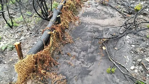 La Confederación Hidrográfica Miño-Sil (CHMS) avanza en los trabajos para paliar los efectos de los incendios de este verano en los diferentes ríos de la comarca del Bierzo, donde se está dando prioridad a los cauces fluviales estratégicos, próximos a captaciones, mediante técnicas de bioingeniería que ayudan a reducir los arrastres.