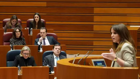 Primera jornada del pleno de las Cortes de Castilla y León que comienza con la comparecencia del presidente de la Junta, Alfonso Fernández Mañueco, sobre la ‘trama eólica’ y continúa con las preguntas de control al Ejecutivo. Fotos: Miriam Chacón