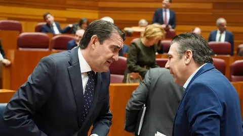 Primera jornada del pleno de las Cortes de Castilla y León que comienza con la comparecencia del presidente de la Junta, Alfonso Fernández Mañueco, sobre la ‘trama eólica’ y continúa con las preguntas de control al Ejecutivo. Fotos: Miriam Chacón