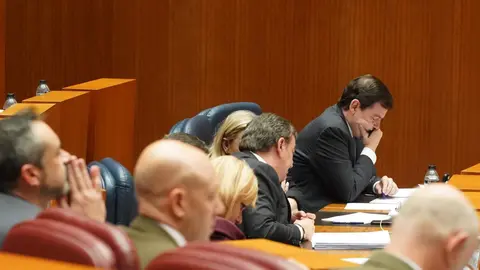 Primera jornada del pleno de las Cortes de Castilla y León que comienza con la comparecencia del presidente de la Junta, Alfonso Fernández Mañueco, sobre la ‘trama eólica’ y continúa con las preguntas de control al Ejecutivo. Fotos: Miriam Chacón
