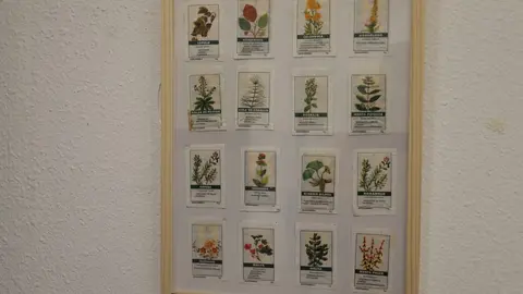 Daniel Pérez Rubio exhibe en Trobajo del Camino 400 sobres de azucarillos de una colección de más de 10.000 piezas, fruto de una afición iniciada en 1967 y ordenada durante el confinamiento. Fotos: Isaac Llamazares