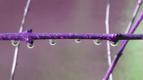 Fotografía de Marien del Canto